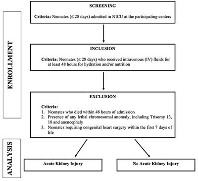 Incidence, Risk Factors, and Outcomes of Neonatal Acute Kidney Injury: Protocol of a Multicentric Prospective Cohort Study [The Indian Iconic Neonatal Kidney Educational Registry]